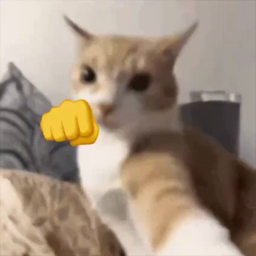 punch cat meme